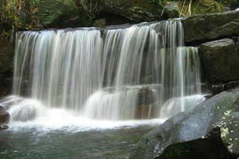 Tour Du Lịch Sài Gòn - Phú Quốc 3 Ngày 2 Đêm (Lặn Ngắm San Hô)